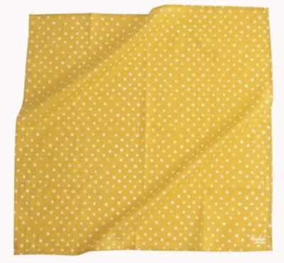 Ellis Bandana